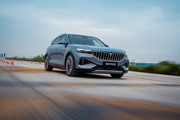 长城汽车的2025：加速调整，加速出海！